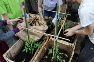 activité collective d'initiation à l'agriculture biologique : cas concret d'un radeau nourricier à petite échelle